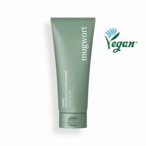 사철쑥 수딩 아크네 클렌징 폼 140ml