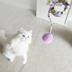아기 새끼 고양이 이갈이 입질 혼자 사냥 놀이 기구 장남감 털공 스프링 장난감
