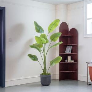 [식집사 지원쿠폰 5%] 리얼퀄리티 핸드메이드 리얼여인초 조화화분세트 5sizes