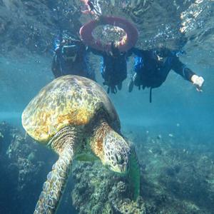 대만 소류구 스노클링 투어 (사진 증정)