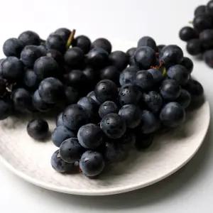과일의고장 영동 새콤달콤 캠벨 1kg(2-4송이)