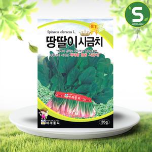 시금치씨앗 35g 월동시금치 땅딸이 가을재배용