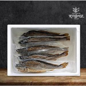 [자겸어보]영광법성포 간편 찐보리굴비(부세)5미 28-30cm