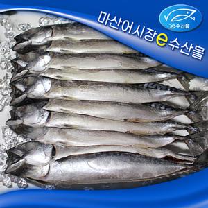 노르웨이 간고등어 특대  10마리 저염 맛있는 노르웨이 자반고등어