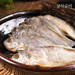 [기타][성지굴비]영광법성포 진공포장굴비 3팩 60미(2.4kg 내외, 15-17cm내외) 찌개,구이용
