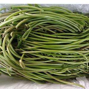 아삭아삭 잎제거 고구마순 고구마줄기 3kg