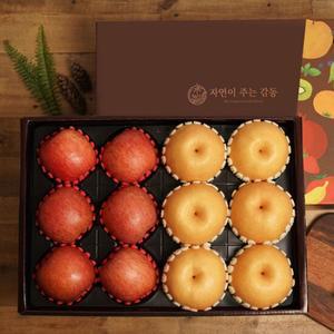 자연의감동 혼합과일 9호 사과6개+배6개 5kg내외 과일선물세트