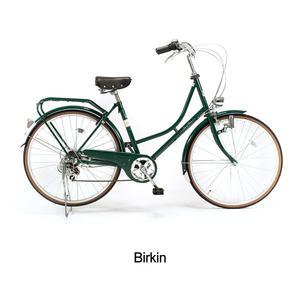 자이크 더치 바이크 클래식자전거 여성용 버킨 Regency Green