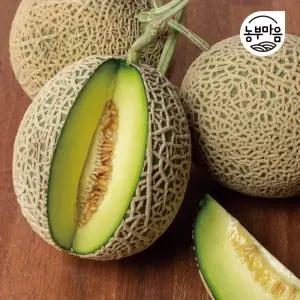 프리미엄 고당도 국내산 머스크 메론 선물세트 8kg (3수,4-5수)