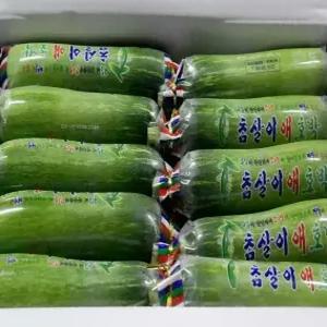 [최종7,830원] 국내산 못난이 애호박 2kg(5~10개내외)