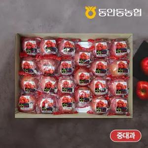 [자연맛남]동안동농협 고당도 정품 세척 사과 5kg (23과내)