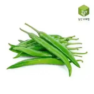 청양고추(특) 10kg