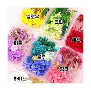 압화공예 키트 압화꽃 대용량 7종 diy 원예수업 재료 노인 시니어 프로그램