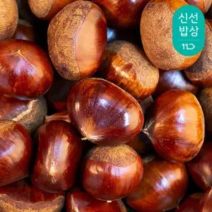 [품질보장]25년 국내산 공주 햇밤 (대)2kg