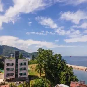 [강원 펜션] 삼척 노마드펜션(장호항, 해상케이블카) (동해,삼척,태백)