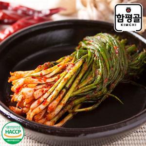 [씨유웰][함평골김치] 감칠맛이 풍부한 전라도 파김치 2kg