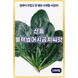산들 블랙썸머 시금치씨앗 1000립 아주 맛 좋은 사계절용 소량 시금치씨 종자