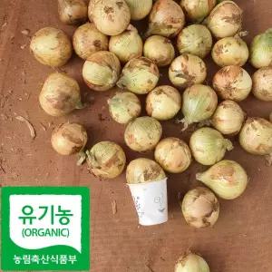 산 유기농 장아찌용 미니 양파 5kg 함평 산지직송 7006445