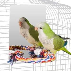 [콩심팥심]애완조 앵무새용품 앵무새 거울 앵무새장 조류 나사