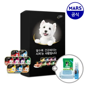 [11번가 단독팩] 시저 주식캔 26개 골라담기+아이엠즈+애견칫솔+베베숲물티슈1팩