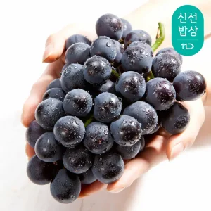 새콤달콤 국내산 캠벨포도 3kg (6-8수)