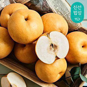[최종혜택가10,960원] 아삭달콤한 국내산 가정용 배 5kg 11-14과내외