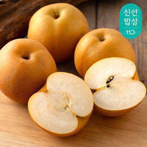 25년 첫 수확 국산 햇 배 가정용 5kg 중대과 (9-10과)