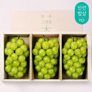 [깨비농원] 제주 샤인머스켓 선물세트 2.4kg 800g이상 특품