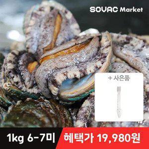 [최종 19,980원] 완도 활 전복 1kg 6~7미 고급선물용 프리미엄 산소포장(+세척 솔)