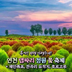 [경기] 특별가 인센투어 / 연천 댑싸리 정원 꽃 축제+재인폭포+전곡리 유적지+호로고루 당일여행/서울경기出