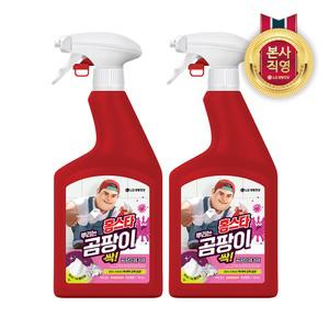 홈스타 맥스프레쉬 뿌리는 곰팡이 싹 곰팡이 제거제(락스함유) 750ml 2개