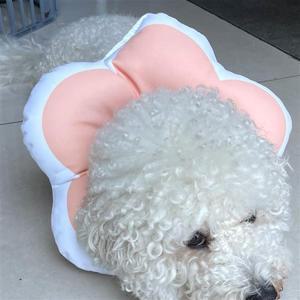 쿠션넥카라 꽃피는 강아지 고양이 쿠션 넥카라 핑크 L