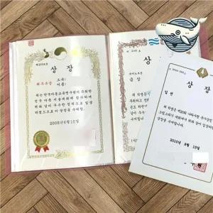 투명 A4 클리어 파일철 60매 문서 정리 및 화일철