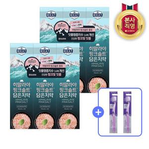 히말라야핑크솔트 치약 아이스민트 100g x 6개 + 칫솔 2입 증정