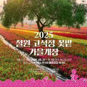 [강원] 철원 고석정꽃밭+한탄강 주상절리길/하늘다리+포천 비둘기낭폭포 가을 당일여행 / 서울경기出