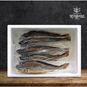 [자겸어보]영광법성포 간편 찐보리굴비(부세)5미 28-30cm
