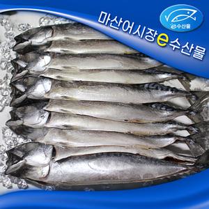 노르웨이 간고등어 특대  10마리 저염 맛있는 노르웨이 자반고등어