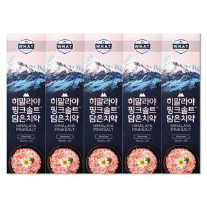 엘지 죽염 히말라야 핑크솔트 담은 치약 플로럴 100g X 5개