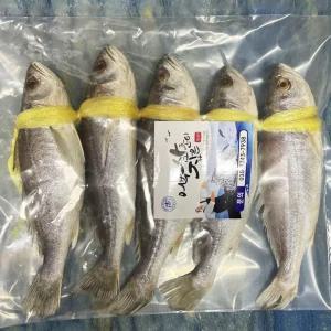 민어굴비 반건조 손질된 생선 간편조리 업소 식당 조림 구이 선물용