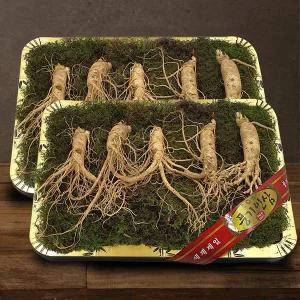 [풍기인삼] 5년근 수삼 1채 750g (4-5뿌리/대바구니) x 2박스