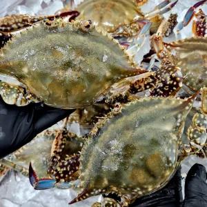 [바른정성] 연평도 암꽃게 1kg 중량 보장 급속냉동 3-5미
