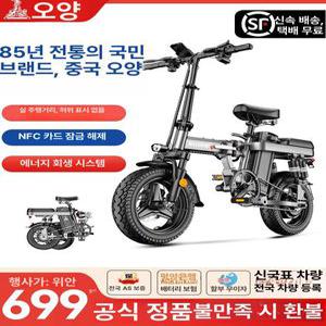 전기자전거 접이식 성인용 배달용 초경량 마실용