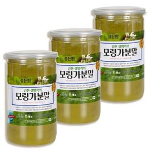 건강한생각 모링가 잎 가루 분말 750g