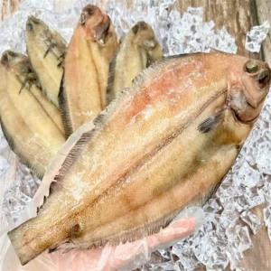 유쎌몰 반건조 기름가자미(물가자미) 20미 (2KG내외) 국내산손질냉동반건조기름가자미