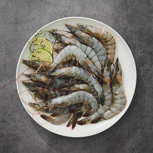 [자연맛남][산지직송] 전남 고흥 통통한 활 새우 2kg (kg당 37-45미)