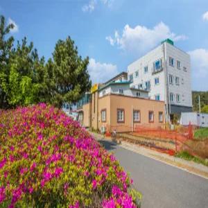 [충남 펜션] 태안 신진도민박 (태안,안면도,서산)