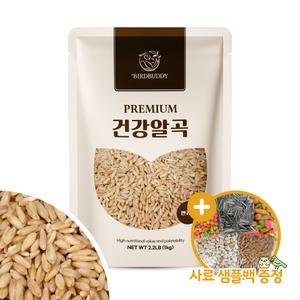 건강알곡 깐귀리 1kg 영양간식 사료 앵무새 햄스터