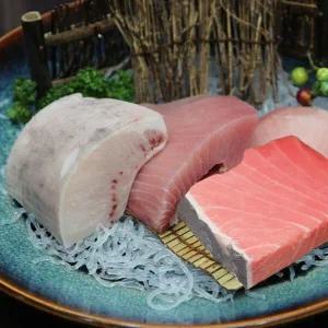 [하프클럽/]참치회 블럭 뱃살세트 600g