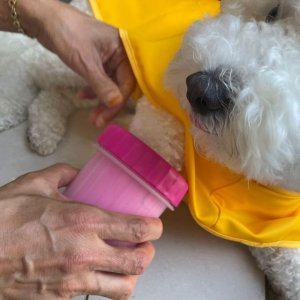 강아지 발세척기 소형 산책 후 발닦기 애완견 발클리너 실내외 사용