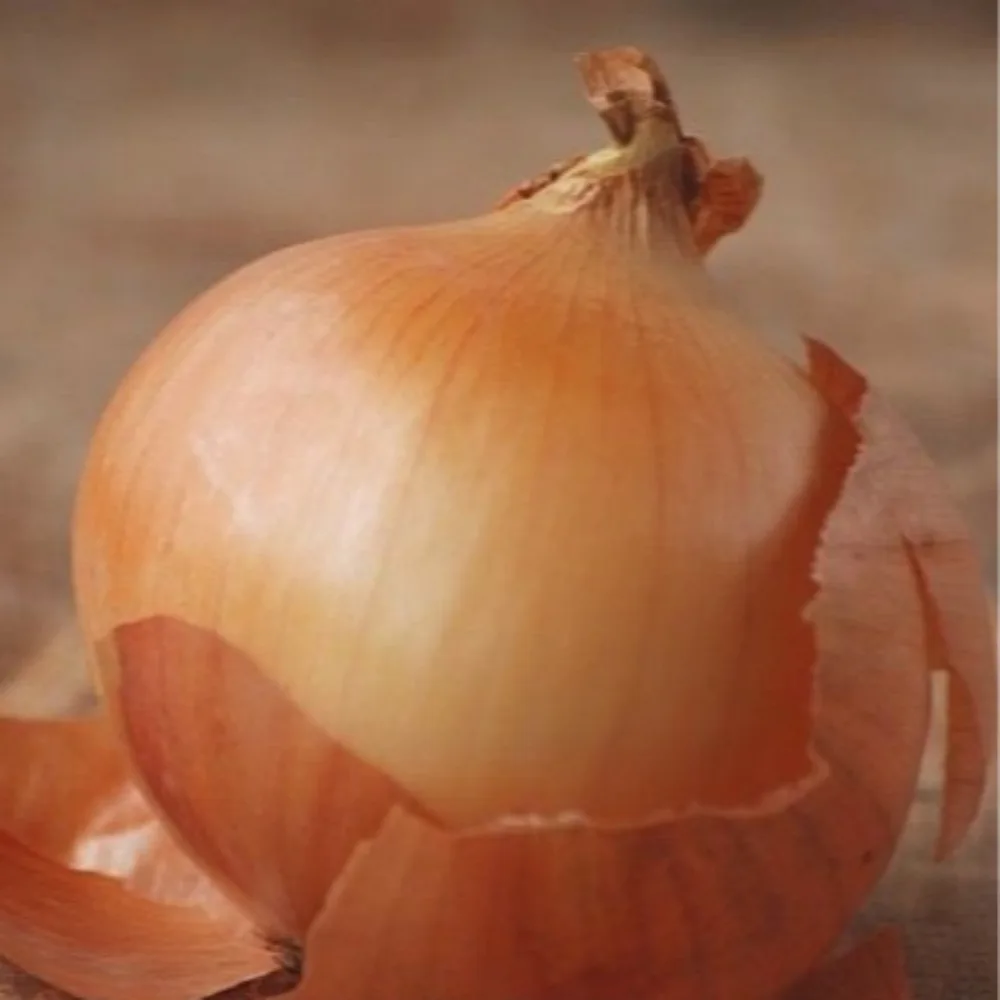단단한 무안양파 무안 햇양파 3kg 5kg 10kg